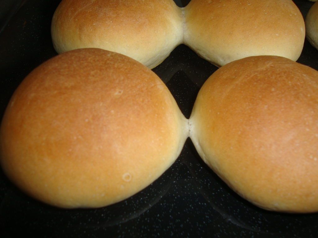 my simple bread roll recipe